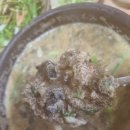 가마솥민물추어탕매운탕 이미지
