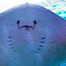 제주 개구리펜션 가족독채펜션 이미지