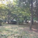 강남골드부동산중개 이미지