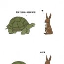 토끼와거북이