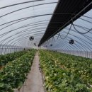 명도복지관 이미지