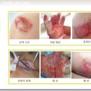 JH인터내셔널 이미지