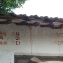 두치 이미지