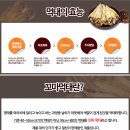 어도컴퍼니
