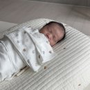 노랑통닭 수유점 | 집에 온 신생아 👶 매일 우는 엄마(= 나)