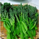 건강음식 - 비타민c와 수분이 풍부한 호박잎 이미지