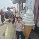 한양대탑수정태권도 | 아이와 함께 떠난 영암 벚꽃 축제 - 2026년 왕인문화축제 후기