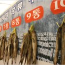 황태이야기 Daum카페