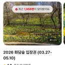 5월에 가기 좋은 화담숲, 꽃과 나무로 힐링한 후기