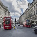 주식회사 이유 이미지