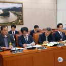 김수의과동물병원 이미지