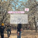 목련숲 | 부산 근교 꽃명소 추천! 김해 목련숲 방문후기 (ft. 가는법 주차 실시간)