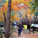 금강공원1 이미지