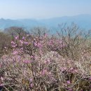 명지산 이미지