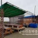 석모1호 이미지