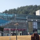 포항시립미술관 | [포항 가볼만한곳] 환호공원 포항시립미술관(POMA) 2026 전시 관람 후기 (김창영 초대전 &amp; 소장품전)