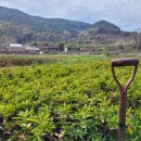 상록(주) 이미지