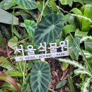 마곡 서울식물원 나들이 이미지