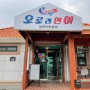 이쁜연어 이미지