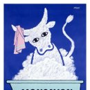 MELT(멜트) 이미지