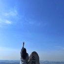 주정차단속-129 이미지