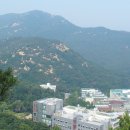 낙성주유소 이미지