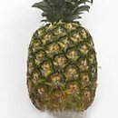 바디클락 이미지