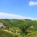 정화목장 이미지