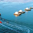 연태목장 이미지