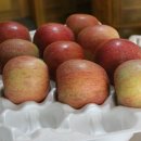 부광농장 이미지