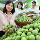 신선한녀석들