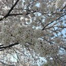 남산 산책로 이미지