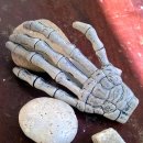 제이더블유중외제약(주) 이미지