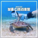 [밈미트립_보홀] 디프리 보홀 호핑투어 내돈내산 후기 (빌리카삭, 식사, 간식)