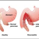 한빛종합동물병원 이미지