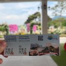 미리농장 | [5월 꽃축제] 2026 미리 다녀온 곡성 장미축제 리얼 후기(놀이기구, 동물농장 정보까지)