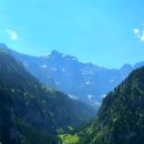 플로라민박 이미지