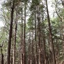 감천산림공원 이미지