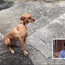 경규농장 이미지