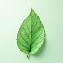 진양수지 이미지