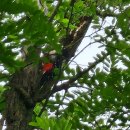 더원치과교정과치과의원 이미지