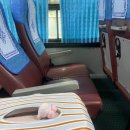 중동073 | 25년 여름휴가 프랑스 파리 -1. 경유해서 파리가기 (에미레이트항공/두바이경유/두바이라운지)