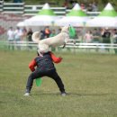 진도메디칼 이미지