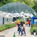 「크리스마스트리, 문화행사」 찾아가는 음악회 | 《2023 제2회 계양문화로 빛축제(우천시에도 진행》 비가 와도 고고~ 계양구에서 놀아요~ (김태우...