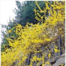 서울원플란트치과의원 이미지