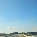 안면독스애견펜션 이미지