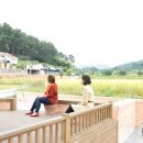 천동리 마을회관 이미지