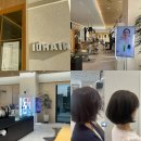 톰&젤 애견미용실 | 송도미용실 복구매직 후기With아이디헤어 송도센트럴파크점