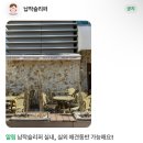 덕천파니니브런치카페 | [일산] 납작슬리퍼 애견동반 브런치카페 파니니 맛집 주차가능 내돈내산 후기