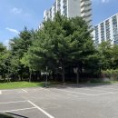 차이나정 이미지